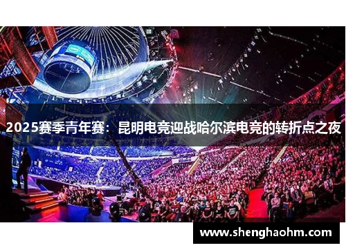 2025赛季青年赛：昆明电竞迎战哈尔滨电竞的转折点之夜