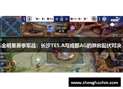 全明星赛季军战：长沙TES.A与成都AG的跌宕起伏对决